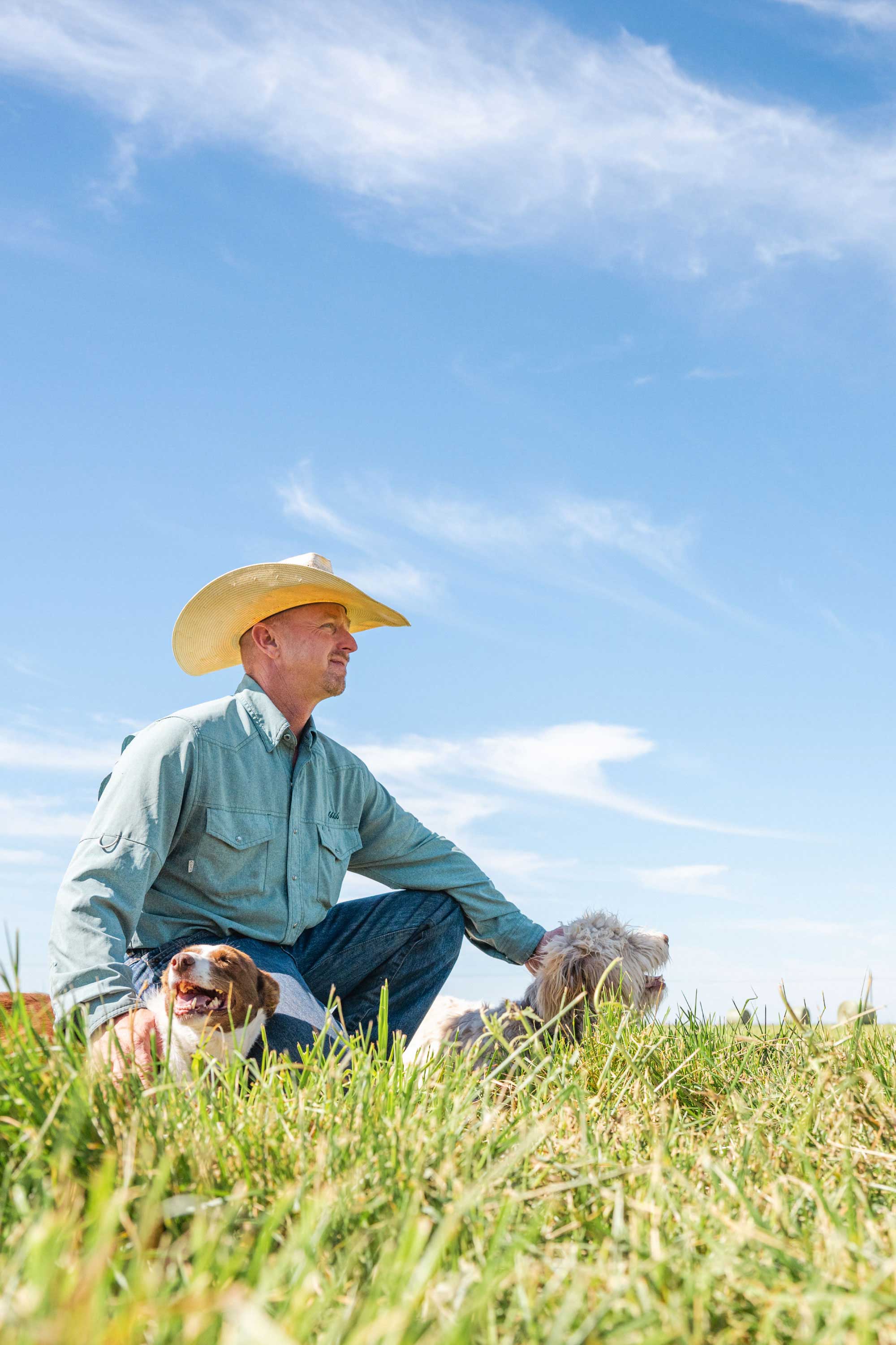 Cowboy with two dogs kneeling in a grassy field.