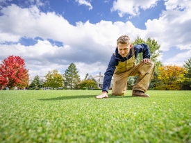 man kneeling on golf course feeling grass