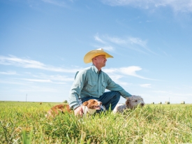 Cowboy with dog sitting in cattle pasture under blue sky.
