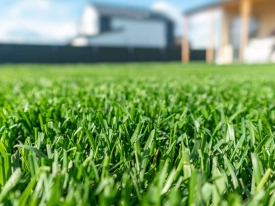 Freshly mown green grass under a clear blue sky