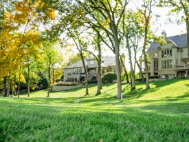 Mature trees shading freshly mown grass in front of homes.