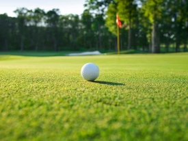 White golf ball resting on perfectly manicured putting green.
