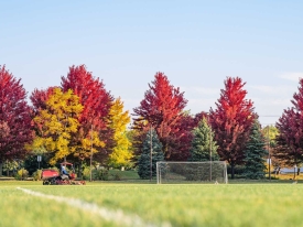 Soccer field with fall color trees in background.