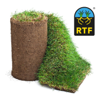 RTF Sod