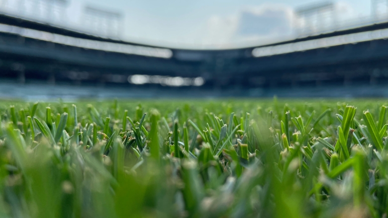 HGT on Wrigley Field
