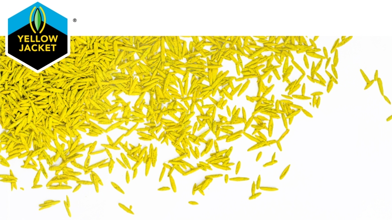 Yellow Jacket coated seed.