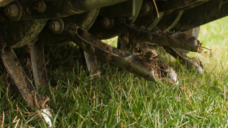 Hollow tine aerator working through green grass