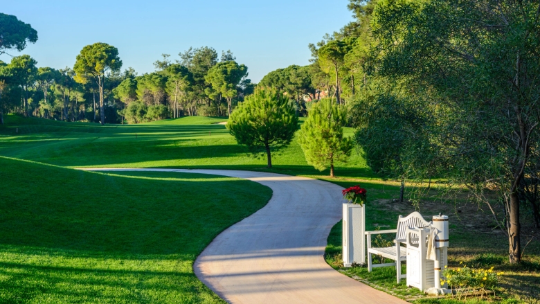 Beautiful golf course shaded by tall, green trees.