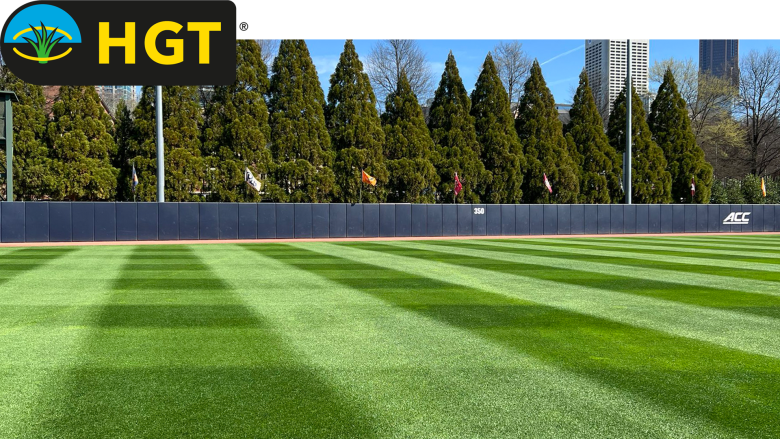 Turf grass close up on a baseball field 
