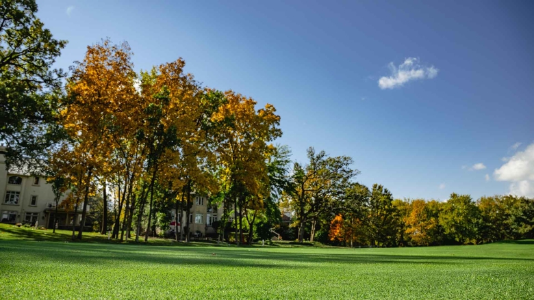 Freshly Mown golf fairway under a clear blue sky lined with mature trees.