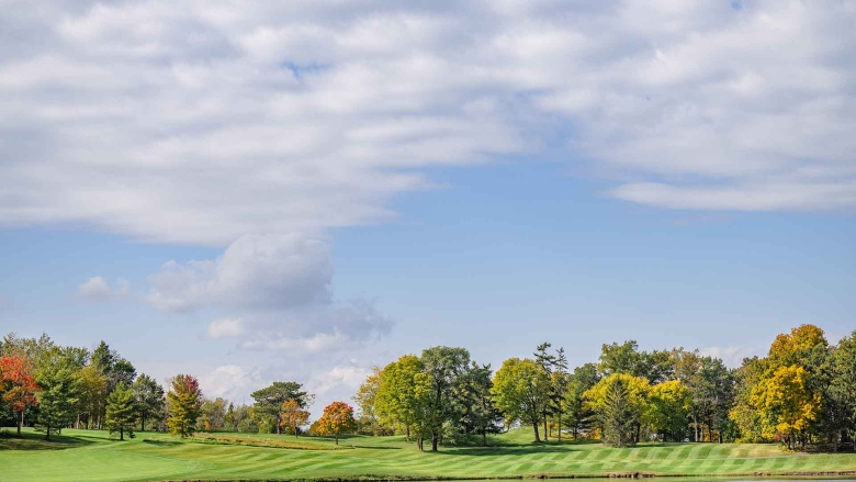 Freshly mown grass and mature trees under a cloudy sky.
