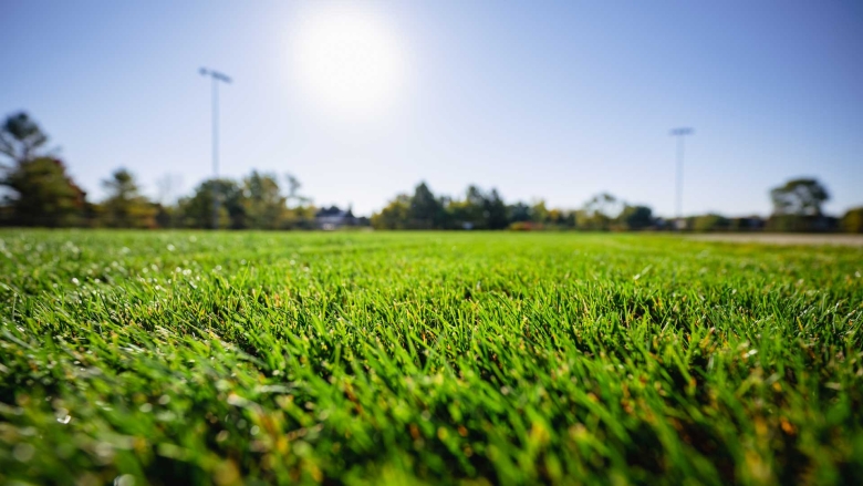 Macro photo of freshly cut natural grass under a clear blue sky.