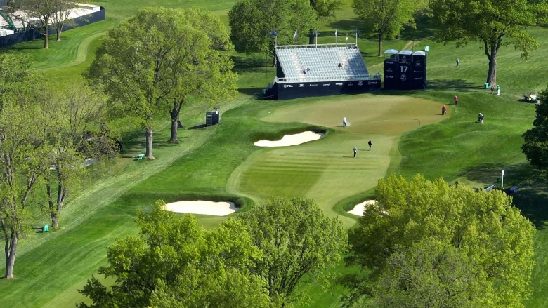 RTF tall fescue sod bunker surrounds on a golf course.