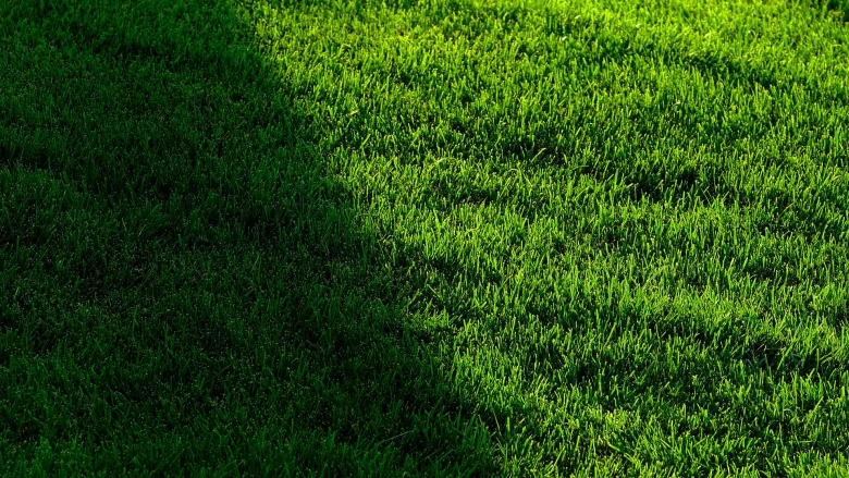 Arial view of grass lawn with half under shade and half under sun.