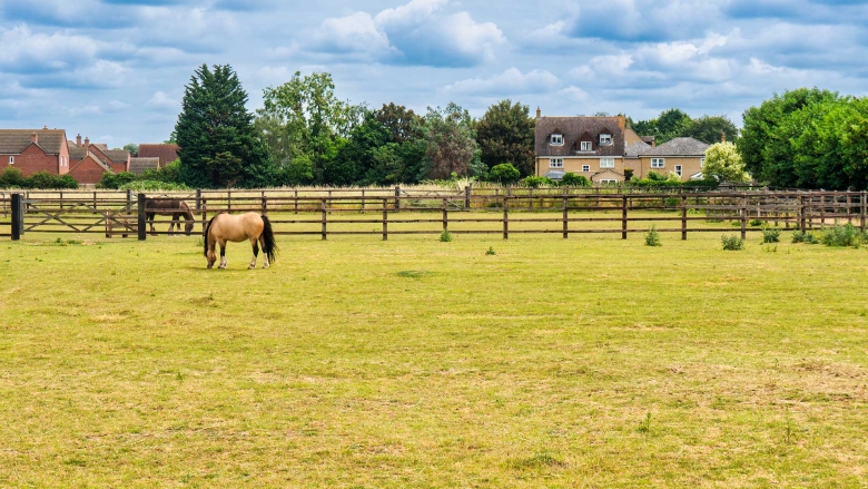 Horse grazing in a pasture under a cloudy sku