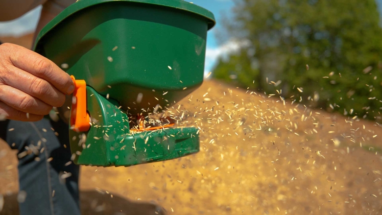 Person holding grass seed spreader, spreading grass seed.