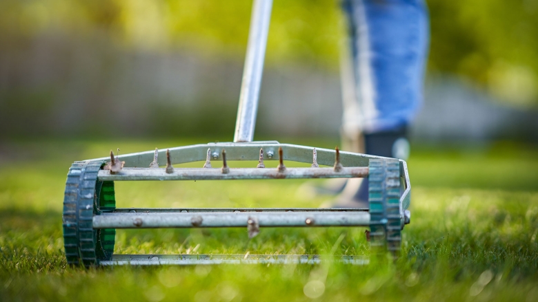 Manual Lawn Aerator being pushed in a home lawn with person in the background