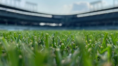 HGT on Wrigley Field