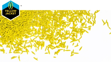 Yellow Jacket coated seed.