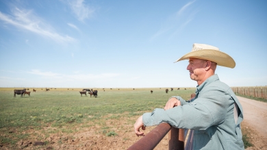farmer overlooking pasture