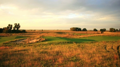 Naturalized golf course at sunset.