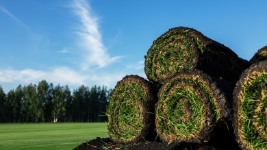 Rolls of grass sod stacked on a green field with trees and blue sky in background. 