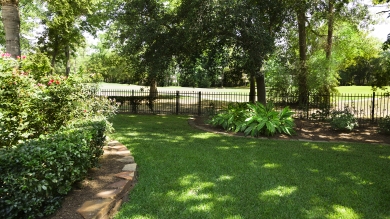Green grass in a yard with bushes and fence
