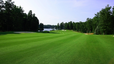 Golf fairway with dark green grass and trees 