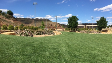 Recently mowed green grass with rocks and hills in the background at a park
