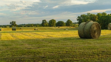 HLR Header