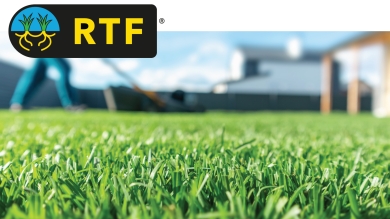 Close up photograph of fresh tall fescue sod on a home lawn being mowed.