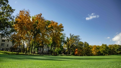Freshly Mown golf fairway under a clear blue sky lined with mature trees.