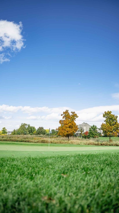 Freshly mown golf fairway under a clear blue sky