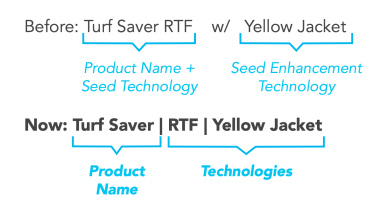 Portfolio Architecture Example