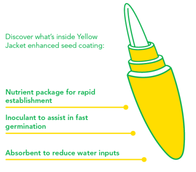 forage_charts_2026_-_yellow_jacket.png
