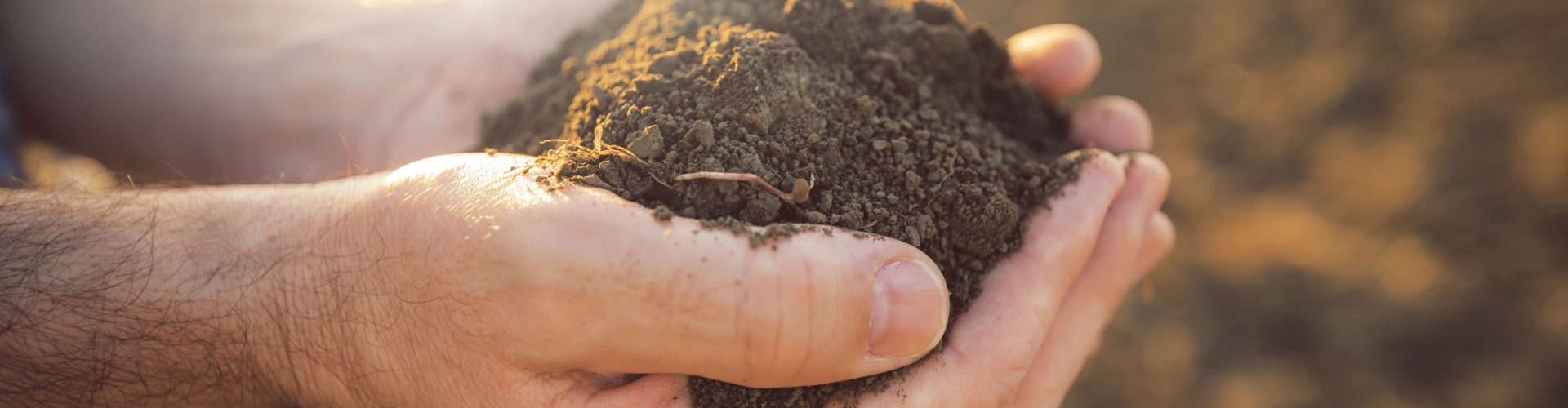 Farmer holding handful of soil