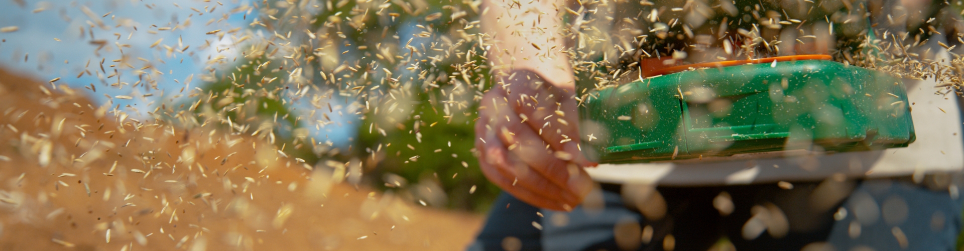 Seeding 