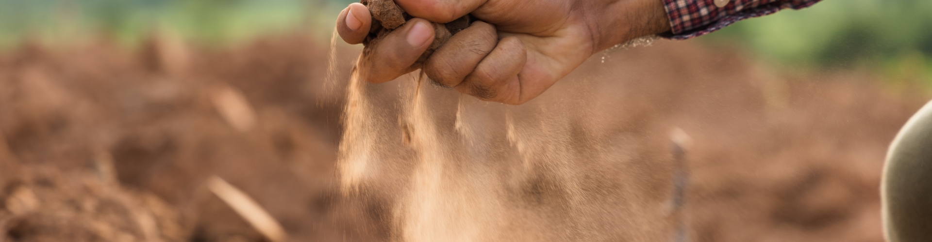 Farmer holding soil in hand