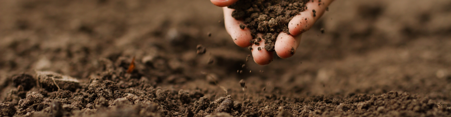 Hand in soil