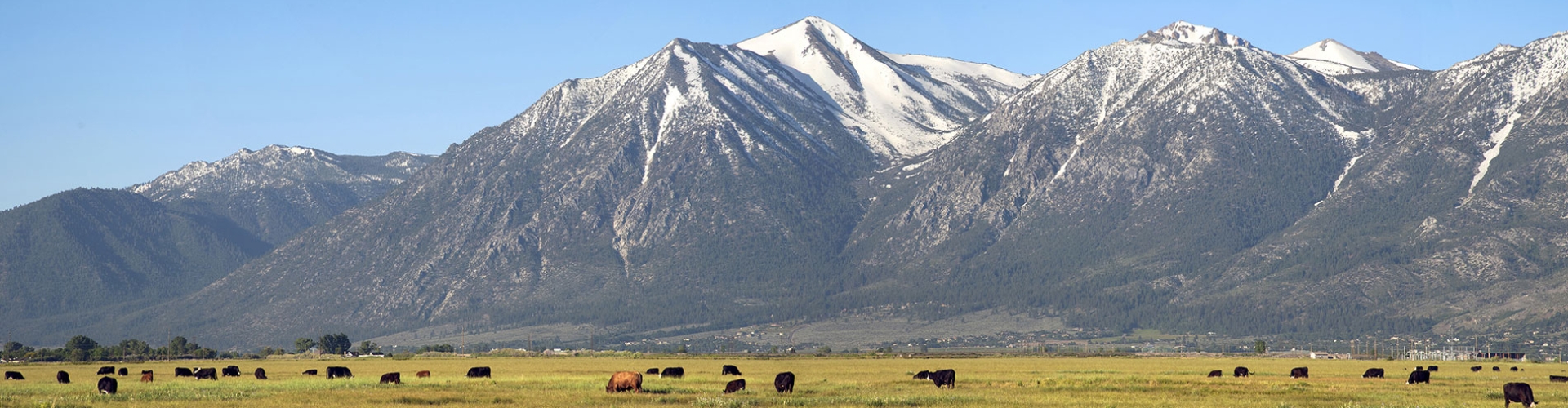 Mountains and field - Barricaide header