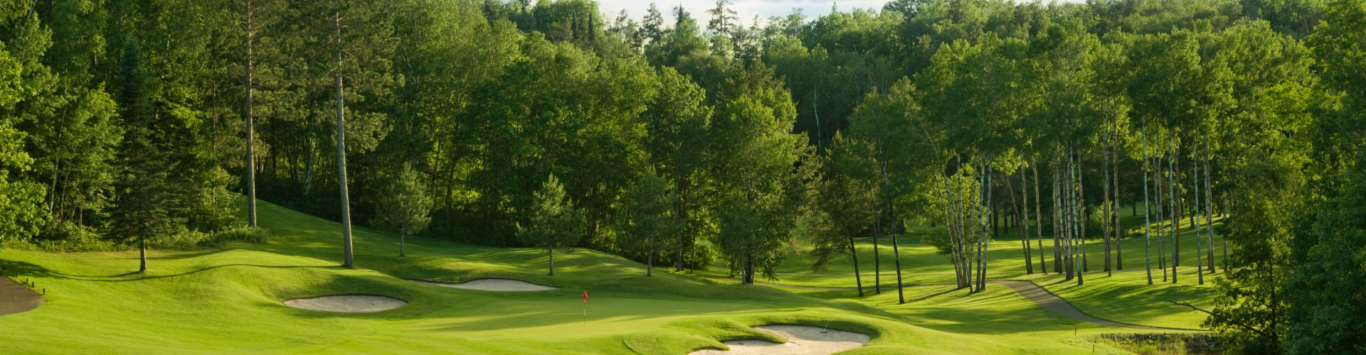 Green golf course fairway with evergreen trees