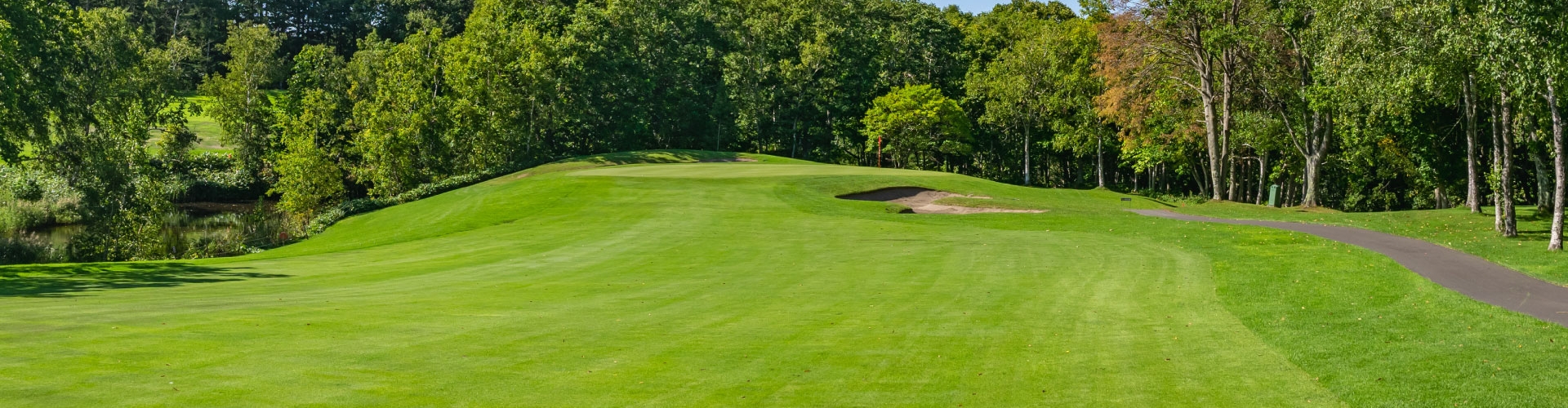 Green golf course fairway under a clear blue sky.
