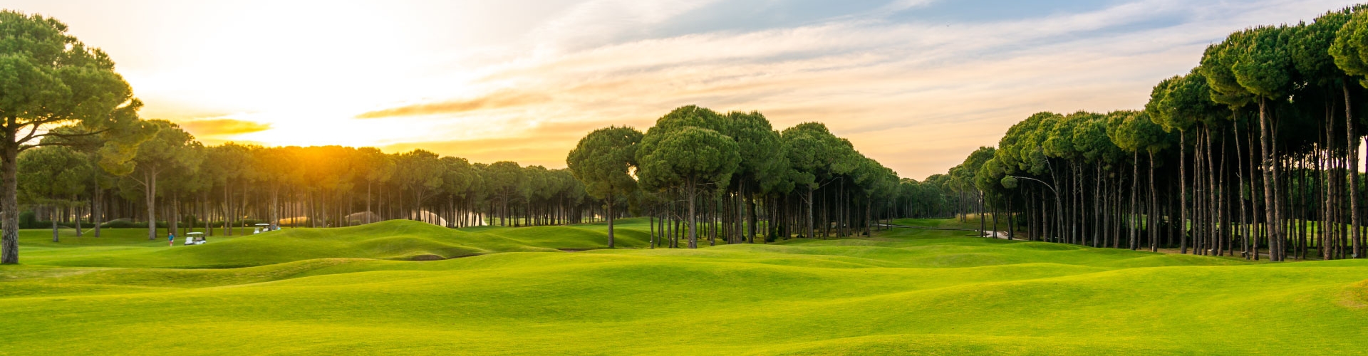 Light green golf course fairway under the setting sun.