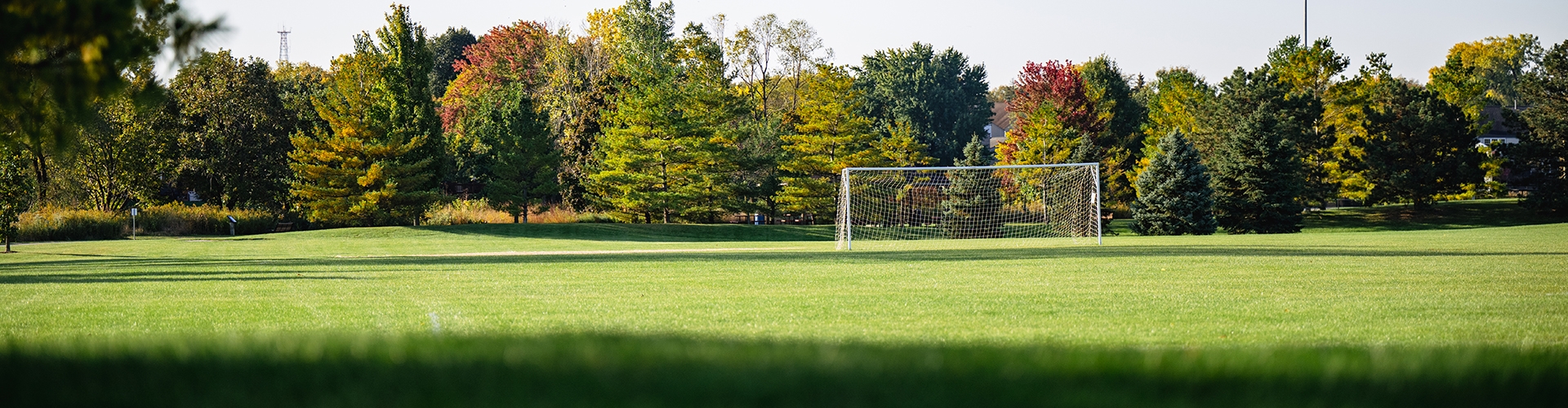 Field with soccer goal 