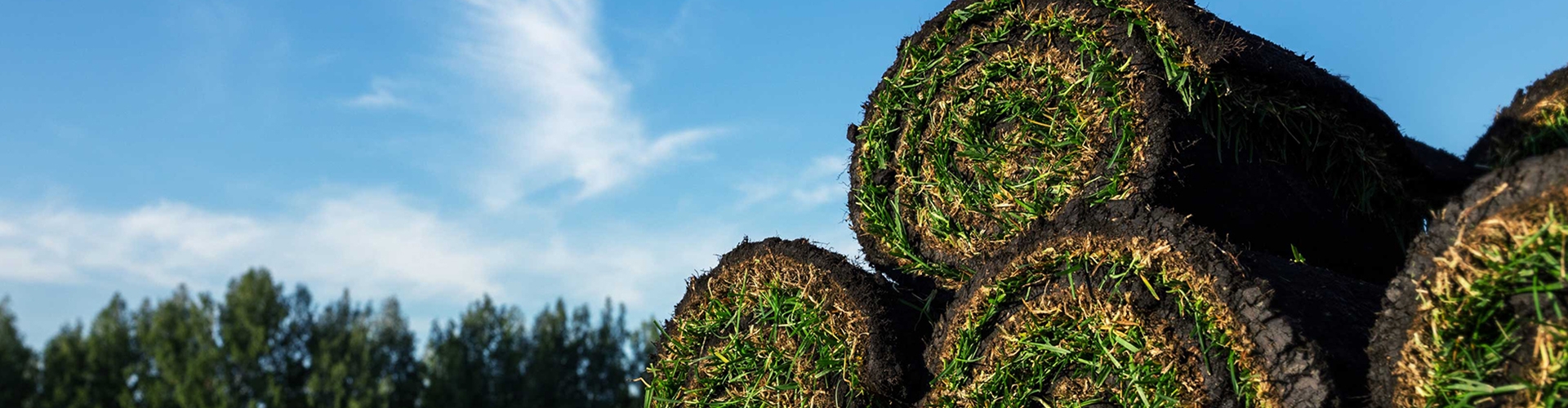 Rolls of grass sod stacked on a green field with trees and blue sky in background. 
