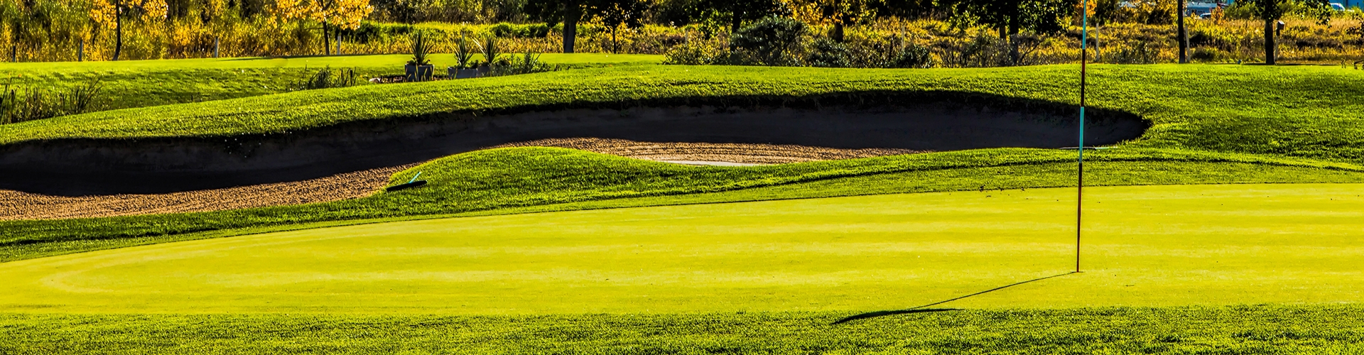 Golf putting green with flag and green grass.