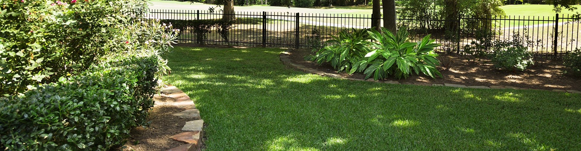 Green grass in a yard with bushes and fence