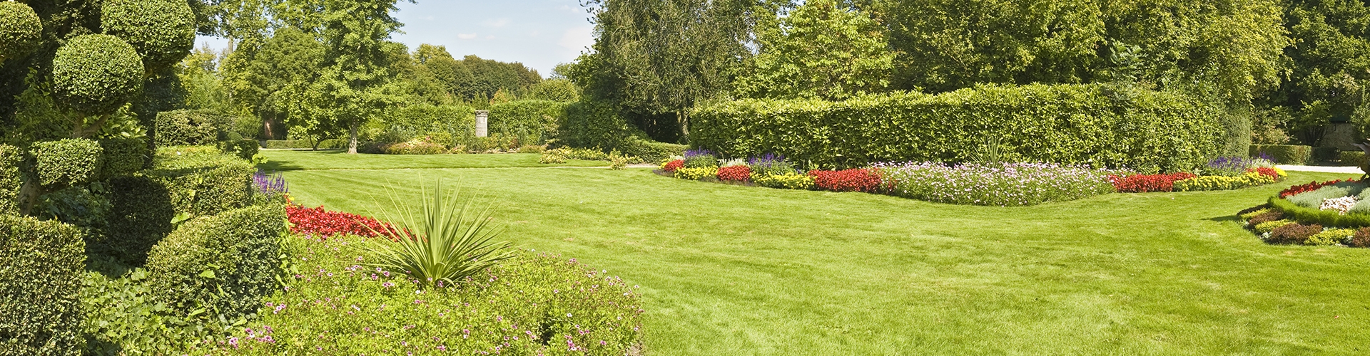 Green lawn in full sun with bushes and flowers