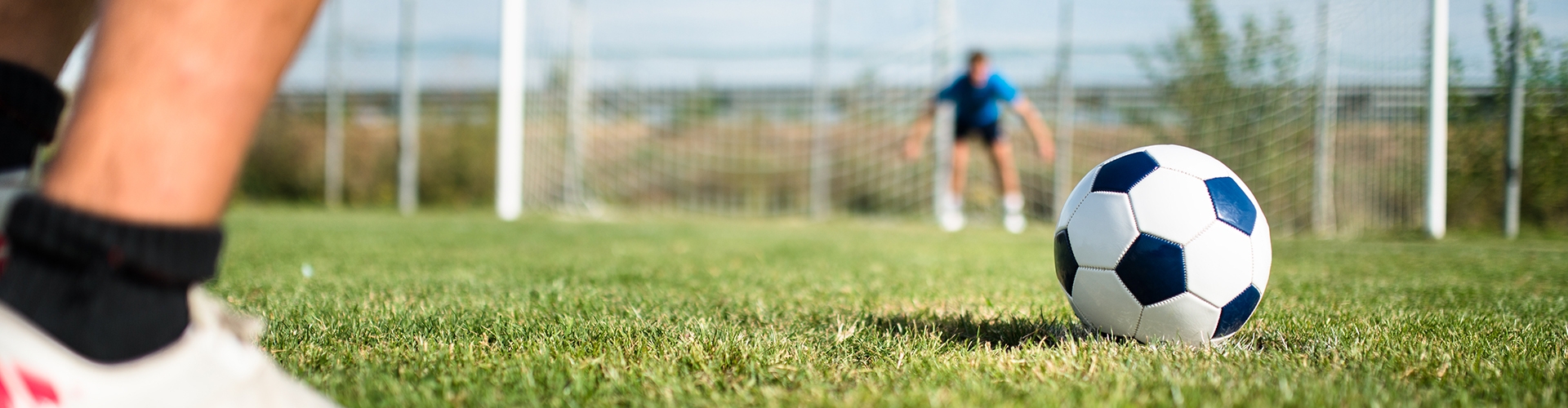 Field with soccer goal 