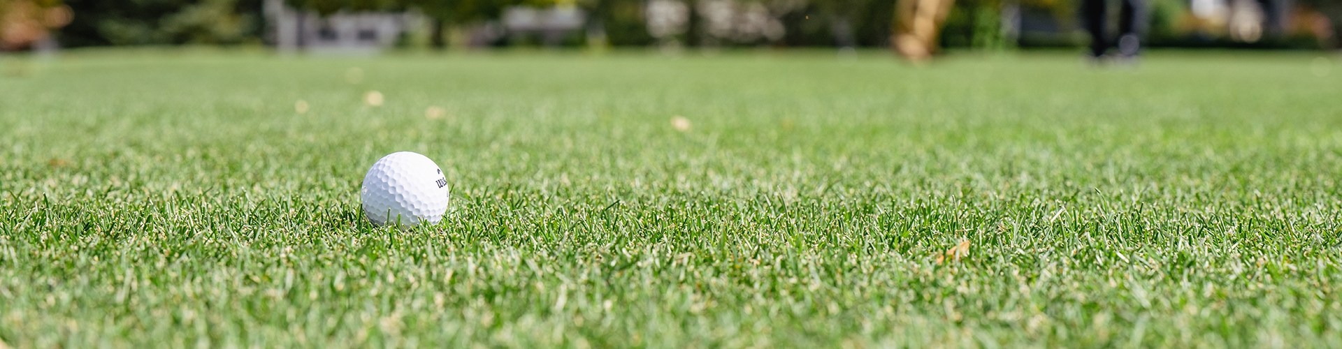 Close up of golf ball on grass with trees and house in background